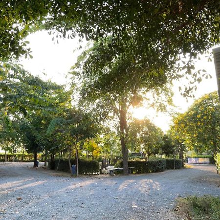 Baan Tonjaeng Resort Chainat Экстерьер фото
